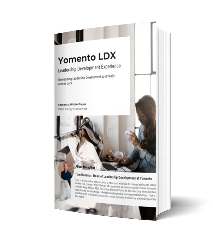 Whitepaper Yomento LDX